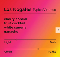 Black & White - Los Nogales - Typica Virtuoso | Colombia