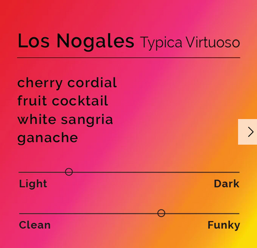 Black & White - Los Nogales - Typica Virtuoso | Colombia