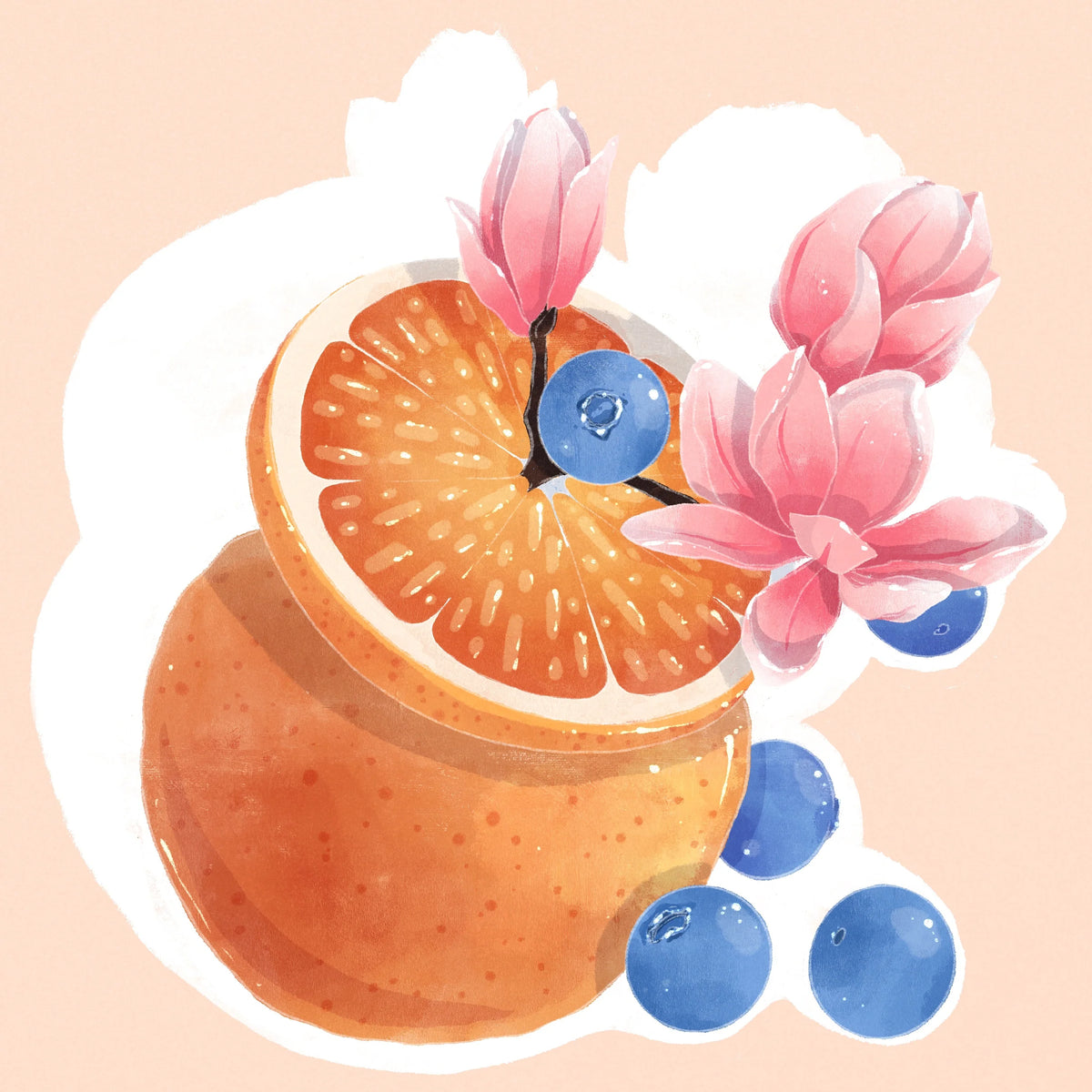 Hydrangea - Gesha - 