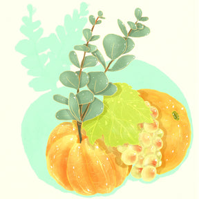 Hydrangea - Typica Mejorado, Washed - Hacienda La Papaya - Sigma Coffee UK