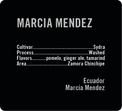 Apollon's Gold - Marcia Mendez - Washed Sydra | Ecuador - Sigma Coffee UK