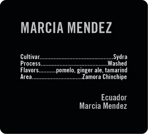 Apollon's Gold - Marcia Mendez - Washed Sydra | Ecuador - Sigma Coffee UK