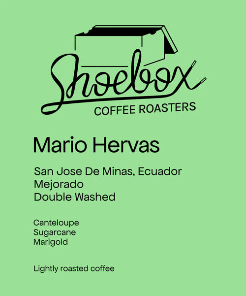 Shoebox - Mario Hervas Mejorado Washed | Ecuador