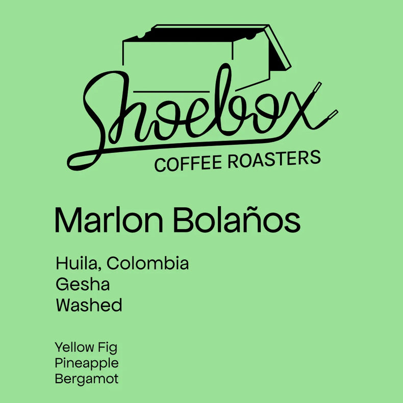 Shoebox Coffee Roasters - Marlon Bolaños Gesha Washed | Colombia