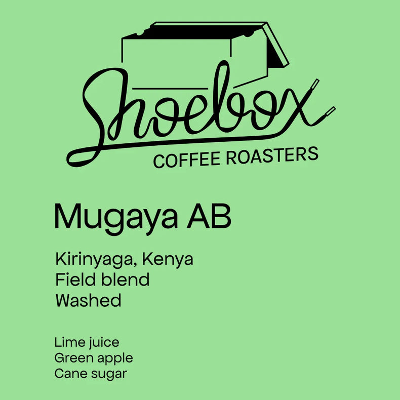 Shoebox Coffee Roasters - Mugaya AB Washed | Kenya