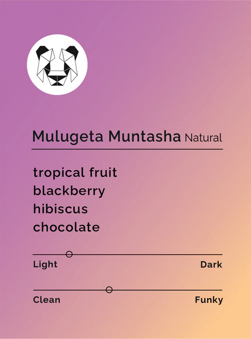 Black & White - Mulugeta Muntasha - Natural - Sigma Coffee UK