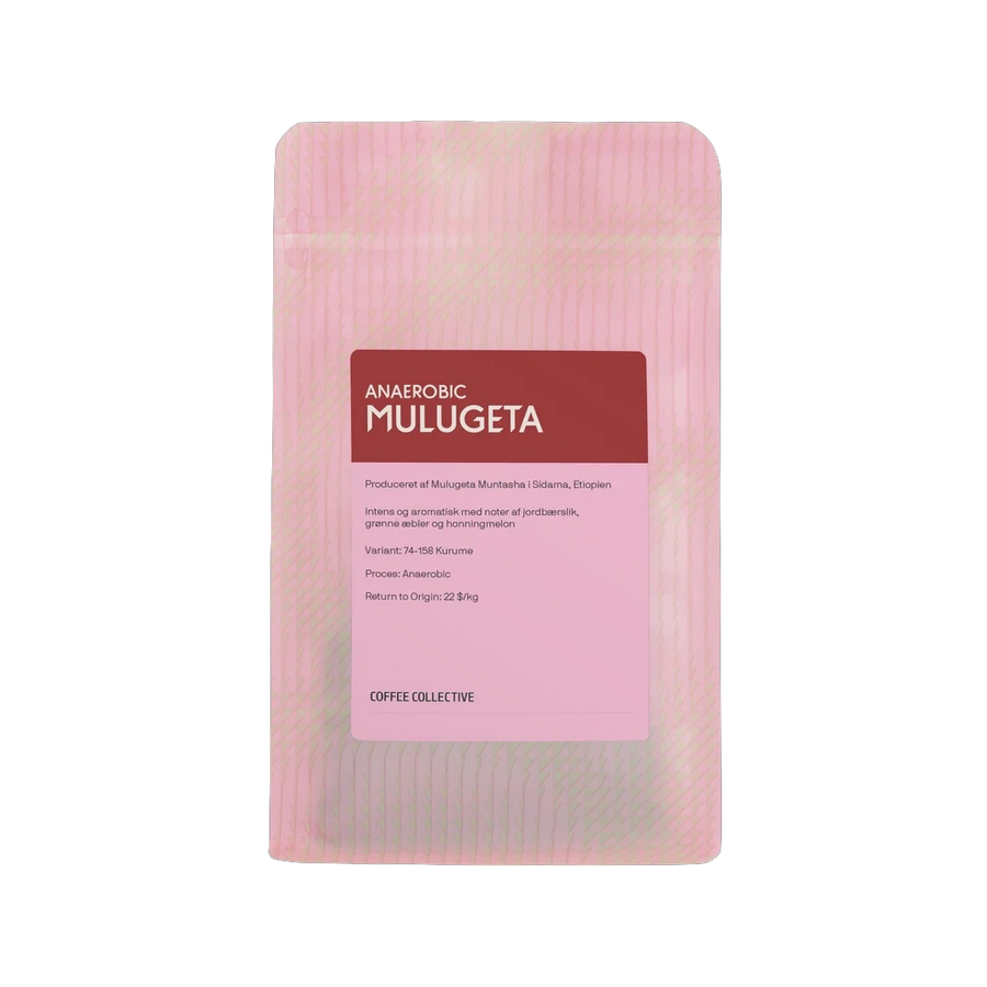 Coffee Collective - Mulugeta Anaerobic Natural 74158 | Ethiopia