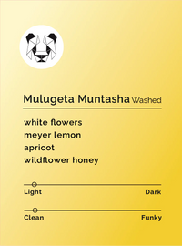 Black & White - Mulugeta Muntasha - Washed | Ethiopia