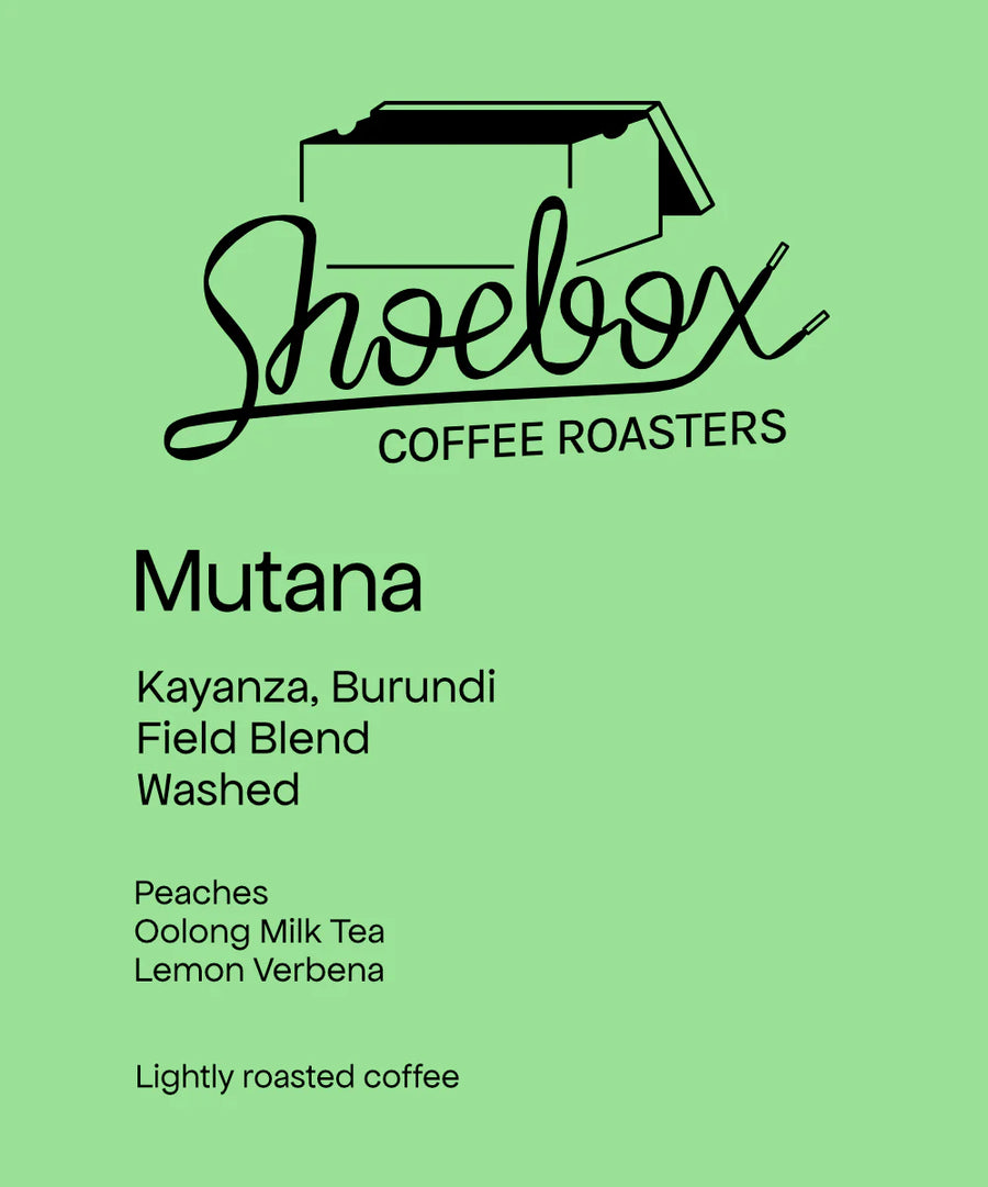 Shoebox - Mutana Hill Washed | Burundi - Sigma Coffee UK
