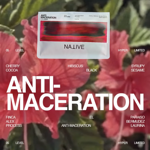 Native - Diego Bermudez | HACHI - Anti Maceration