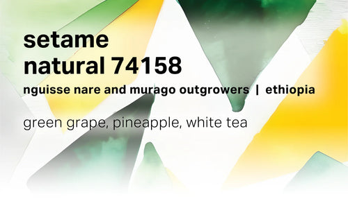 Moonwake - Setame Natural 74158 - Ethiopia