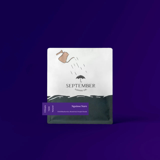 September - Nguisse Nare, Natural JARC 74158 | Ethiopia - Sigma Coffee UK