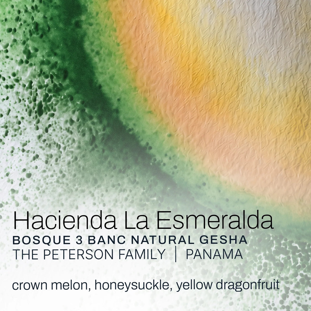 Moonwake Coffee Roasters - Hacienda La Esmeralda - The Peterson Family - Bosque 3 BANC Natural Gesha | Panama