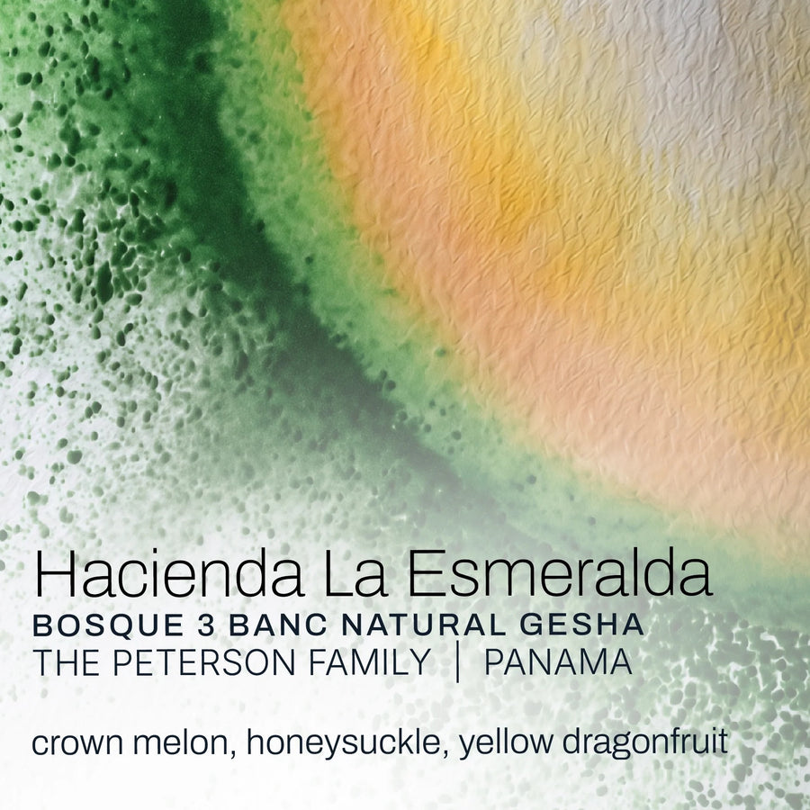 Moonwake Coffee Roasters - Hacienda La Esmeralda - The Peterson Family - Bosque 3 BANC Natural Gesha | Panama