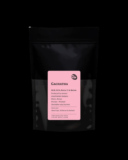 Tim Wendelboe - Gachatha, Washed Kenya