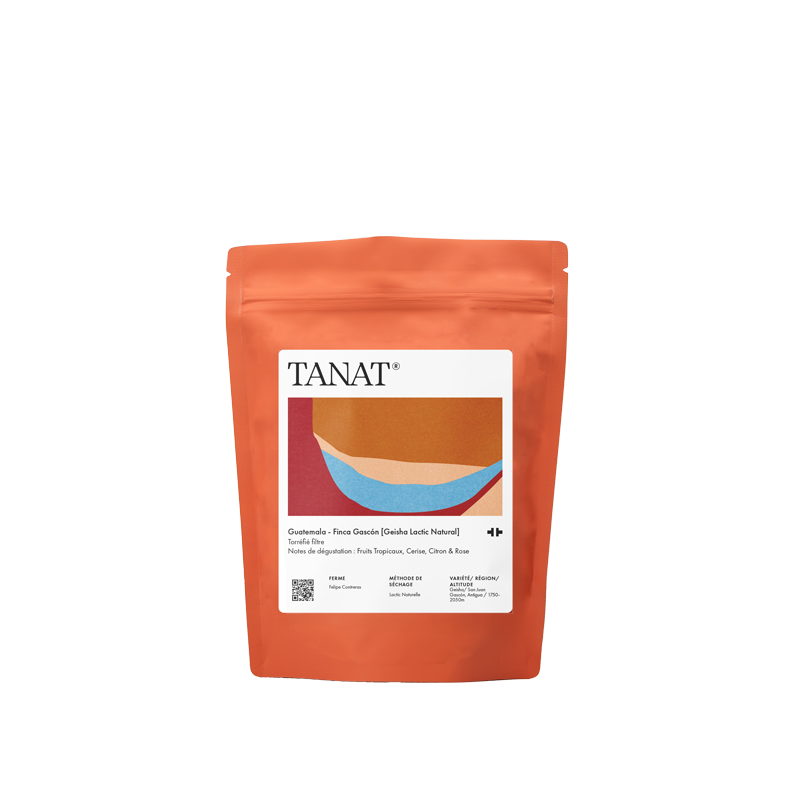TANAT - Finca Gascón [Geisha Lactic Natural] | Guatemala