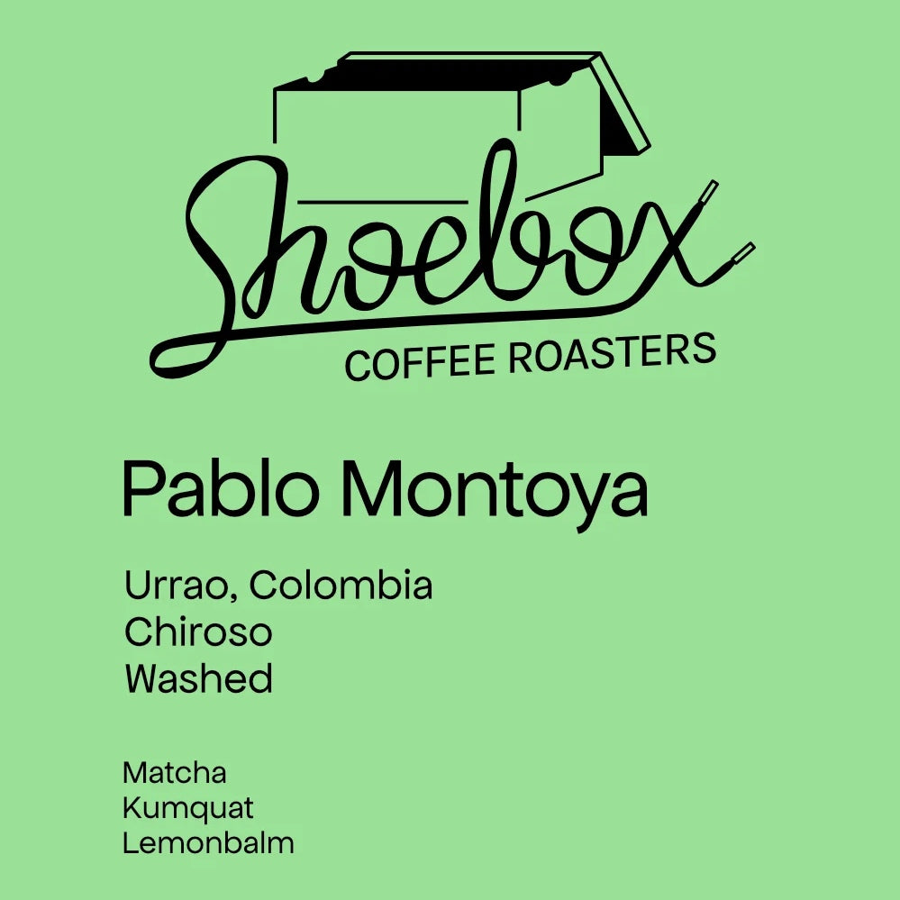 Shoebox Coffee Roasters - Pablo Montoya Chiroso Washed | Colombia