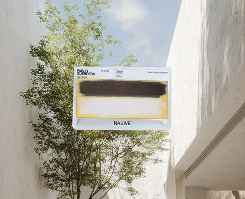 Native - Pablo Guerrero, El Obraje - Washed Gesha