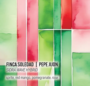 Moonwake - Pepe Jijon, Finca Soledad - Sidra Wave Hybrid - Ecuador - Sigma Coffee UK