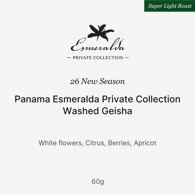 Big Sur - 26 New Season Esmeralda Private Collection Washed Geisha | Panama