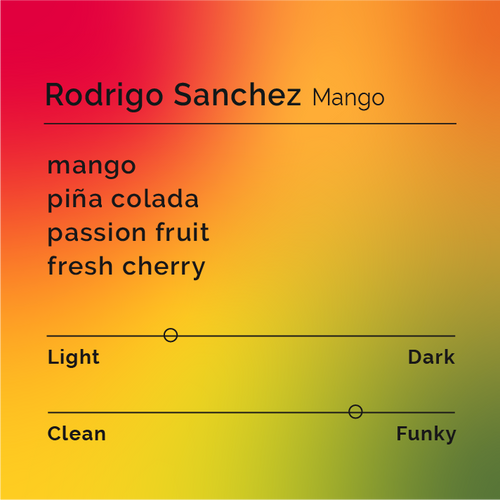 Black & White - Rodrigo Sanchez - Mango