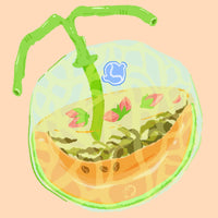 Hydrangea - Castillo Rose Tea - Finca El Paraiso