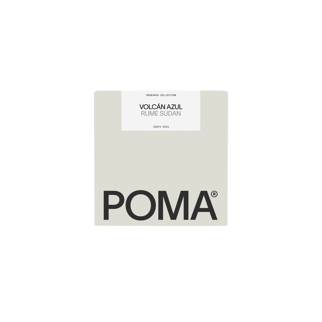 POMA Coffee - Volcán Azul Honey Rume Sudan | Costa Rica