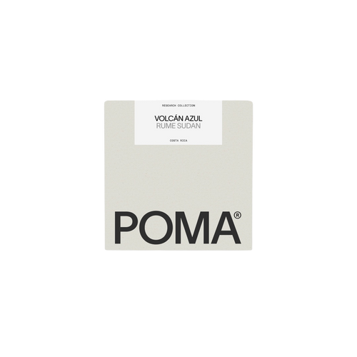 POMA Coffee - Volcán Azul Honey Rume Sudan | Costa Rica