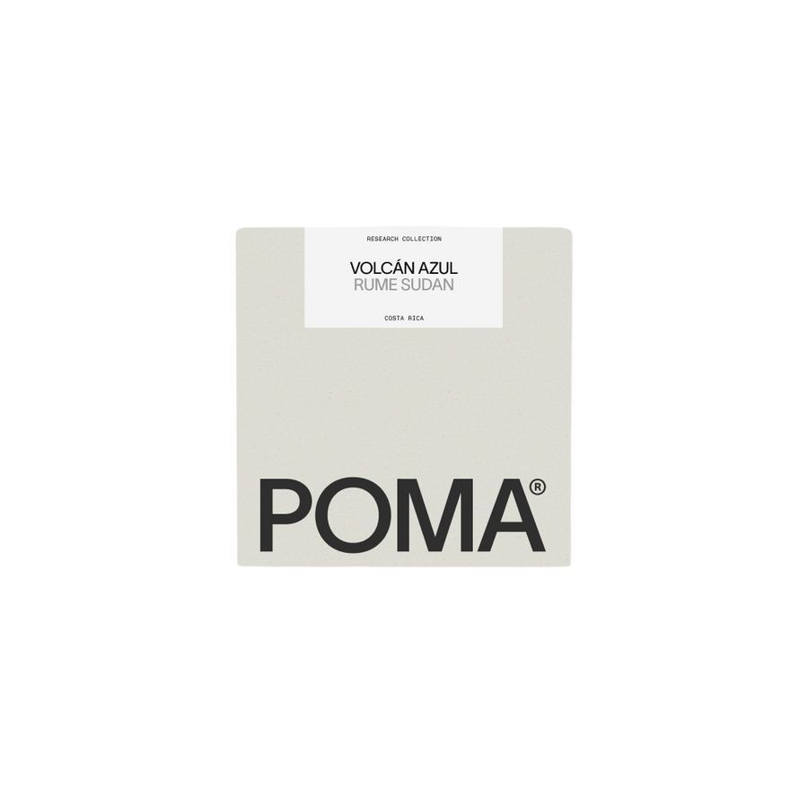 POMA Coffee - Volcán Azul Honey Rume Sudan | Costa Rica