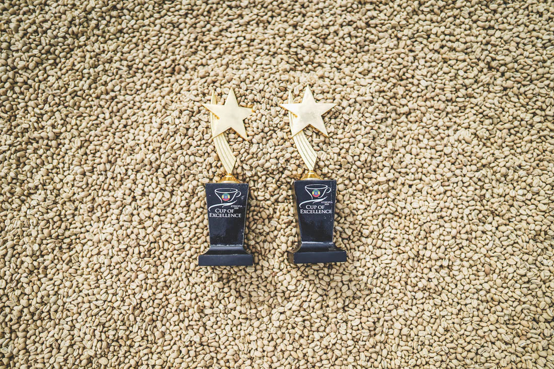 Flower Child - Rumudamo - Washed Landrace