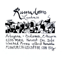 Flower Child - Rumudamo - Washed Landrace