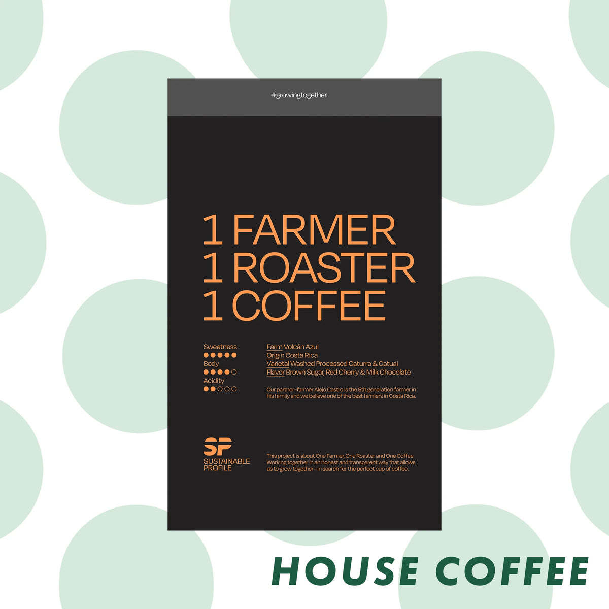April - Costa Rica - Sustainable Profile Coffee - Sigma Coffee UK