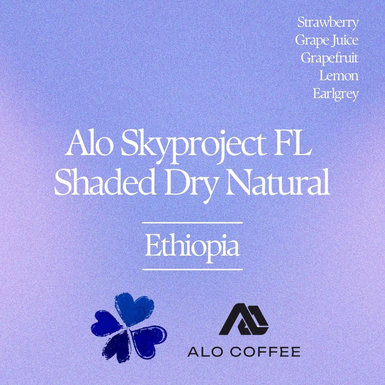 Klover - Alo Village Shaded Dry Natural 74158 | Ethiopia