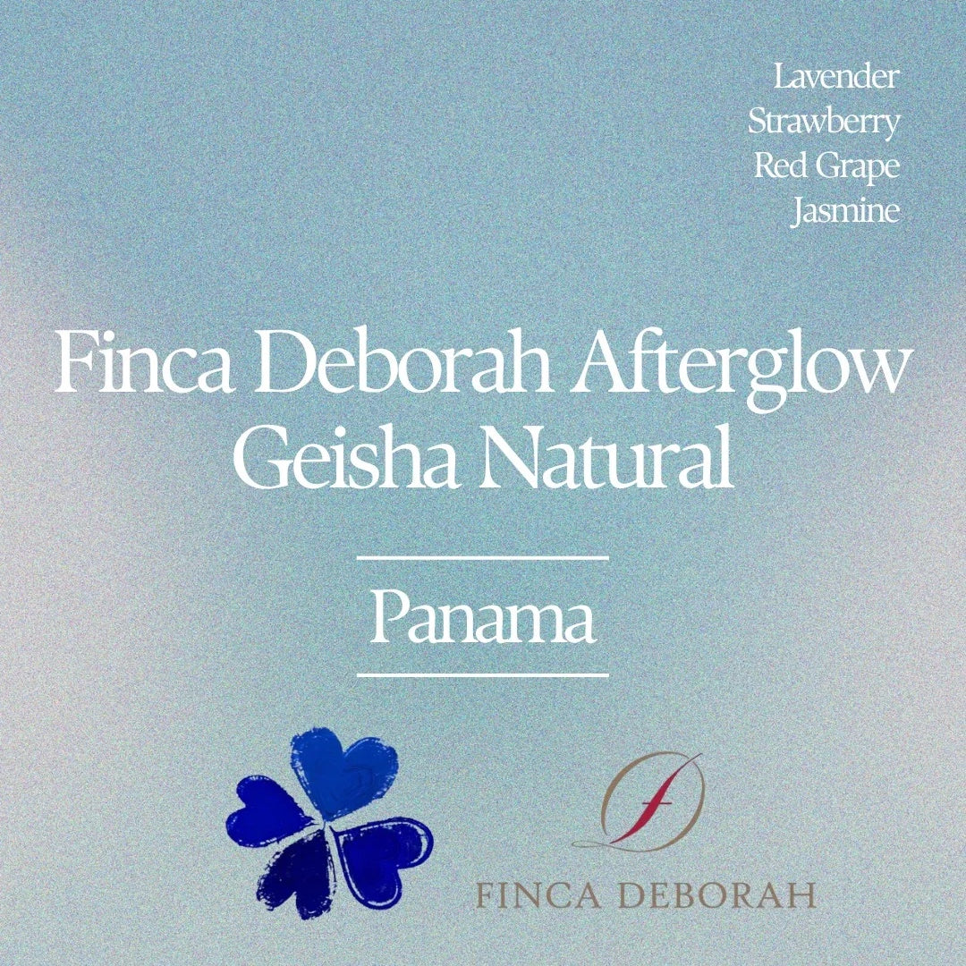 Klover - Finca Deborah Afterglow Geisha Natural | Panama