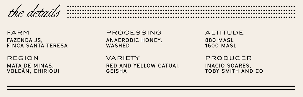 Manhattan Roasters - Brooklyn - Sigma Coffee UK