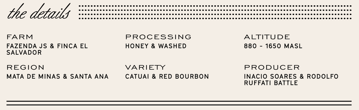 Manhattan Roasters - City Limits - Sigma Coffee UK