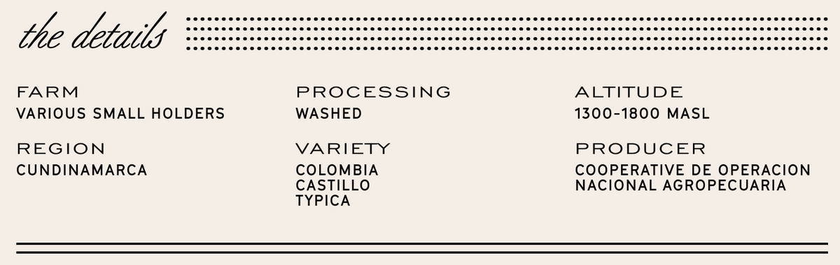 Manhattan Roasters - Colombia Viani - Sigma Coffee UK