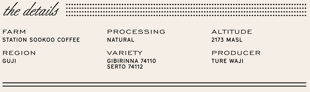 Manhattan Roasters - Ethiopia Shoondhisa - Natural - Sigma Coffee UK