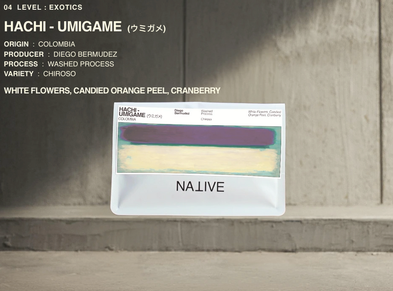 Native - Diego Bermudez | HACHI - Umigame Chiroso Washed - (ウミガメ)