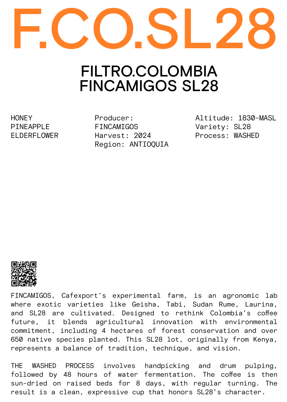 Nomad - Filter, Colombia- Fincamigos - Washed SL28