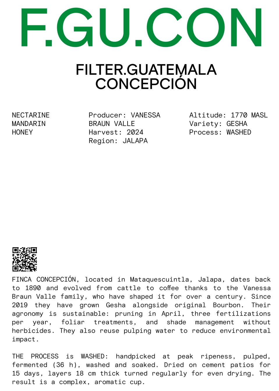 Nomad - Filter, Guatemala, Finca Conceptión - Washed Gesha
