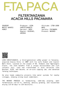 Nomad - Filter, Tanzania, Acacia Hills - Washed Pacamara