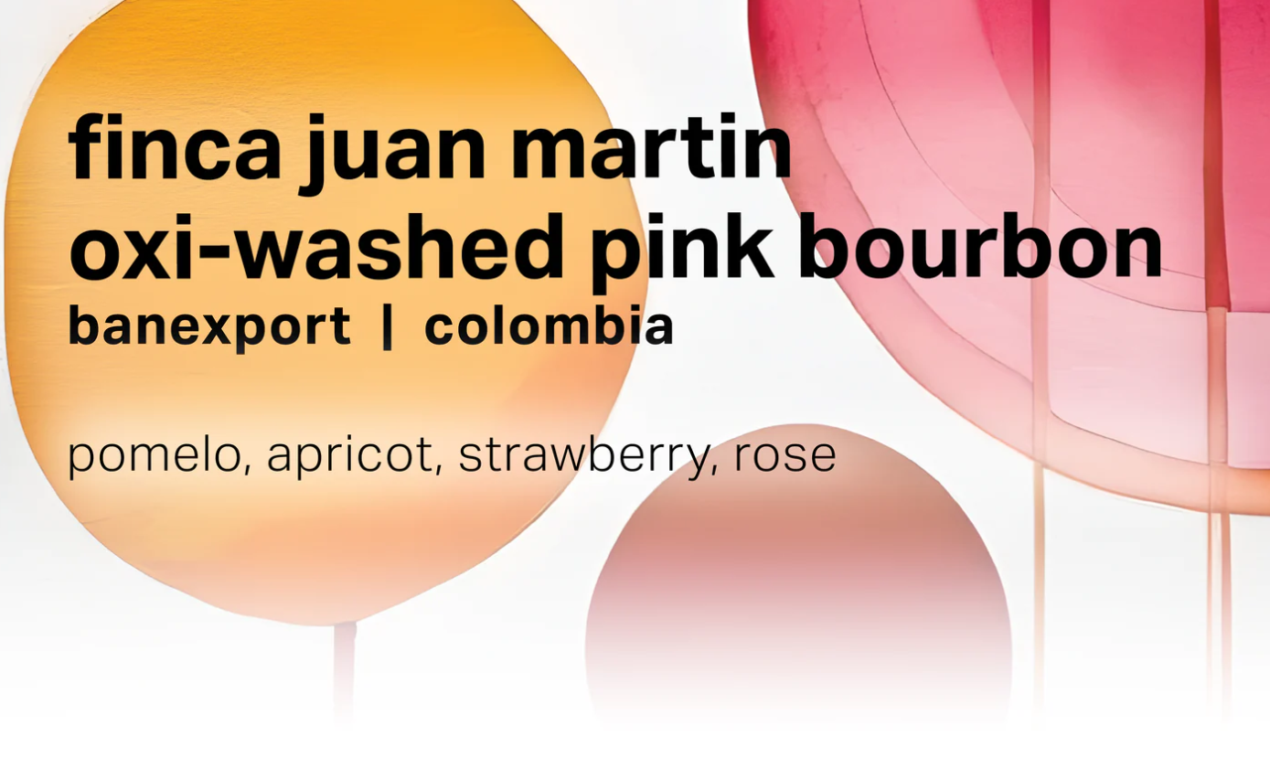 Moonwake - Finca Juan Martin, Oxidation Washed Pink Bourbon - Colombia