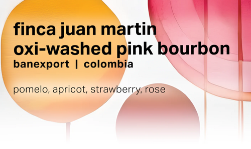 Moonwake - Finca Juan Martin, Oxidation Washed Pink Bourbon - Colombia