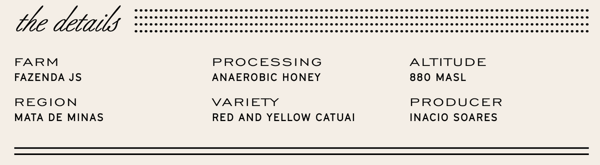 Manhattan Roasters - Brazil Inacio Soares F2 - Sigma Coffee UK