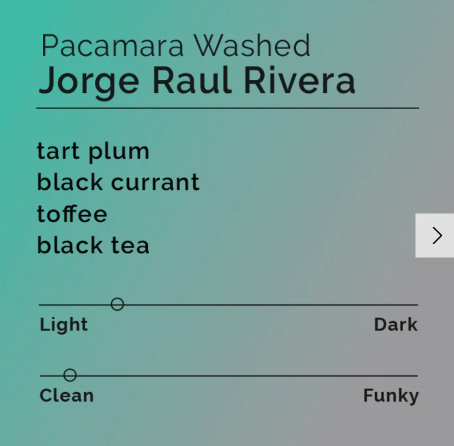 Black & White - Jorge Raul Rivera - Pacamara Washed | El Salvador