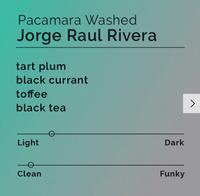 Black & White - Jorge Raul Rivera - Pacamara Washed | El Salvador