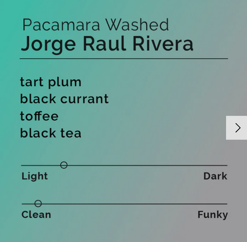 Black & White - Jorge Raul Rivera - Pacamara Washed | El Salvador