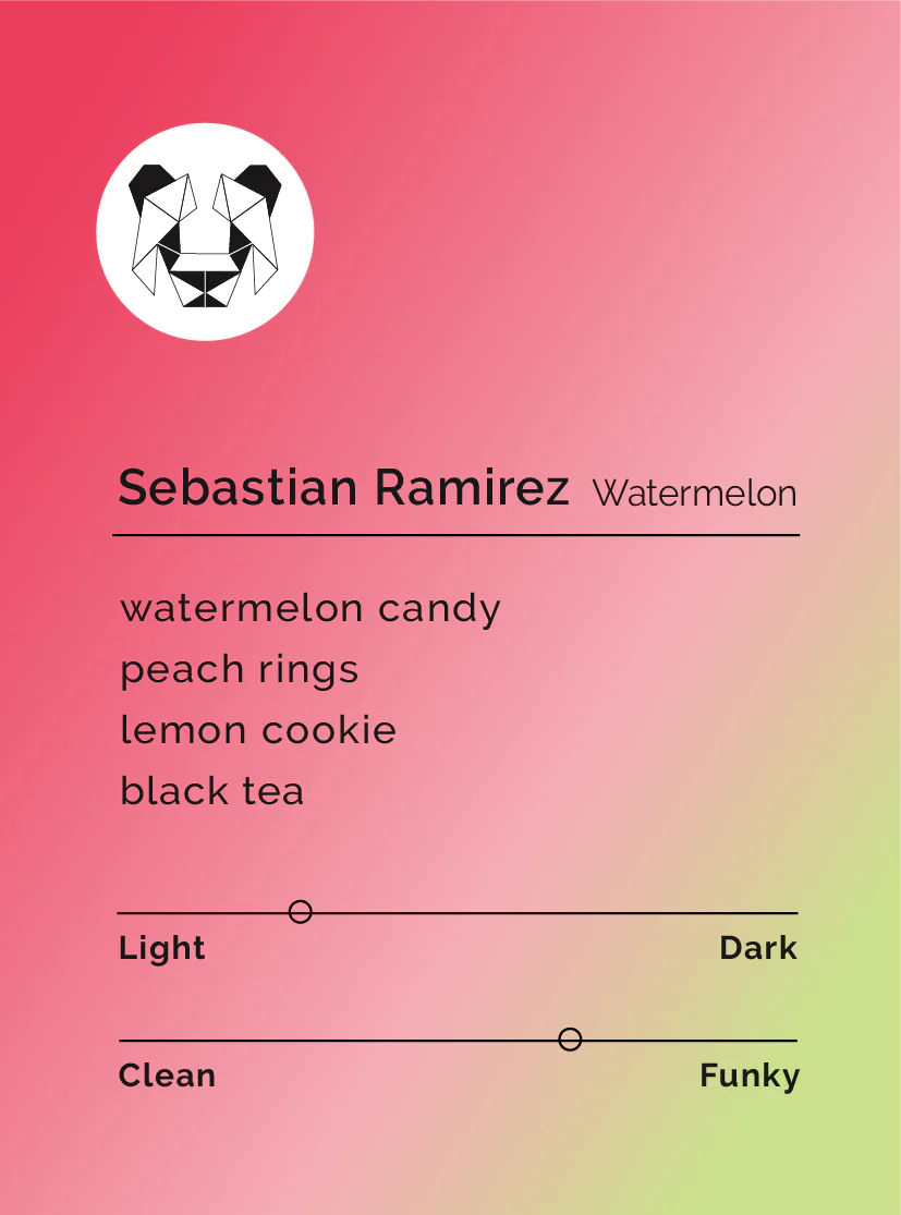 Black & White - Sebastian Ramirez - Watermelon – Sigma Coffee UK