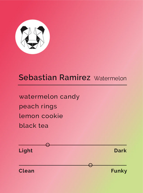 Black & White - Sebastian Ramirez - Watermelon - Sigma Coffee UK
